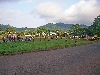 Limbe: sports activities
