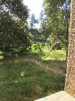 garden outside, Adiam Seghed Iyasu's Castle, Fasil Ghebbi, Gondar