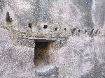 Cowhorn hooks for hanging cloths in the bath/sauna, Gondar