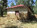 Star of David on outside wall of Woleka Jewish library, Ethiopia