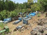 Jewish cemetery, Woleka, Ethiopia