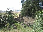 Exterior wall, Palace of Empress Mintwab, Gondar, Ethiopia