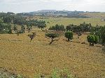 Plateau, Foothills, Simien Mountains, Ethiopia