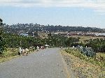 Debat, Simien Mountains, Ethiopia