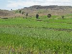 Plateau, Foothills, Simien Mountains, Ethiopia