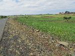 Plateau, Foothills, Simien Mountains, Ethiopia