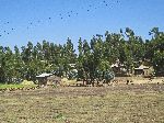 Rectangular houses, Simien Mountains, Ethiopia