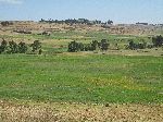 Plateau, Foothills, Simien Mountains, Ethiopia