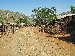 Dib Bahir, Debark-Zarima Road, Ethiopia