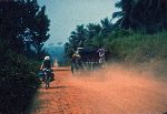 Ghana, western province, dusted on a dirt road