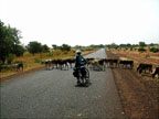 Waiting for cross-traffic on the National Highway, Mali