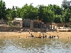 Morning at the riverside, Niger River, Mali