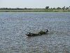 Canoe on the Niger River, Mali