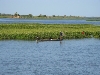 Fisherman, Niger River, Mali