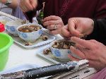 Women eating snails, Fez, Morocco