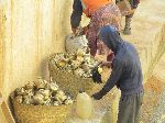 Cleaning brass pots with a chemical at the river side, Fez, Morocco