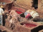 Chouara Tannery, Fez medina, Morocco