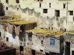 Chouara Tannery, Fez medina, Morocco
