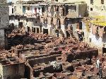 Chouara Tannery, Fez medina, Morocco