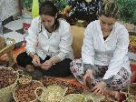Cracking argan nut for cosmetic oil, Fez, Morocco