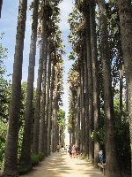 Boujloud Garden, Fez, Morocco