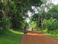 Sierra Leone, road to Masanga Hospital