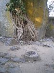 Dassa-Zouma, Benin, family ancestor ceremonial site,