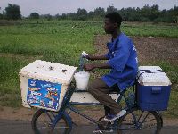 Grand Popo, Benin, bicycling Fan Milk yogurt seller