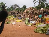 Vogan, Togo, market day