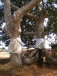 Togoville, Togo, shrines and altar for traditional Voodou religion