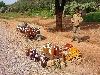 Honey for sale on the road side