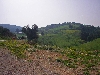 hills on road between Jendouba and El Kef