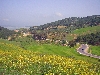 hills on road between Jendouba and El Kef