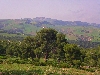 hills on road between Jendouba and El Kef