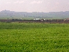 Dairy farm