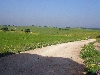 Countryside south of El Kef
