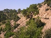 Road to Hammam Mellegue