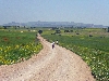 Bicycling on the road to Hammam Mellegue, El Kef