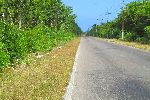 Road, Zapata Cienaga, Australia to Playa Giron, Cuba