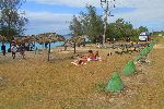 Beach near Playa Giron, Cuba