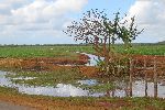 Irrigation ditch, Horquitas, Cienfuego, Cuba