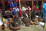 Objects from Africa, Santaria shrine, Trinidad, Cuba