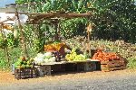 Fruit stand, San Antonio de los Banos, Cuba