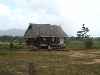 house, Rupununi Savannah, Guyana
