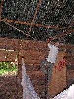 setting up hammocks and sleeping quarters, Guyana