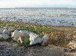 Beach at Georgetown Seawall, Guyana