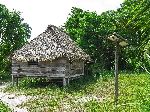 traditional house and solar panel, Guyana