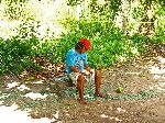 mending fishing net, Guyana