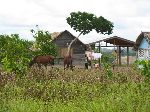 house, Rupununi Savannah, Guyana