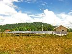 house, Rupununi Savannah, Guyana